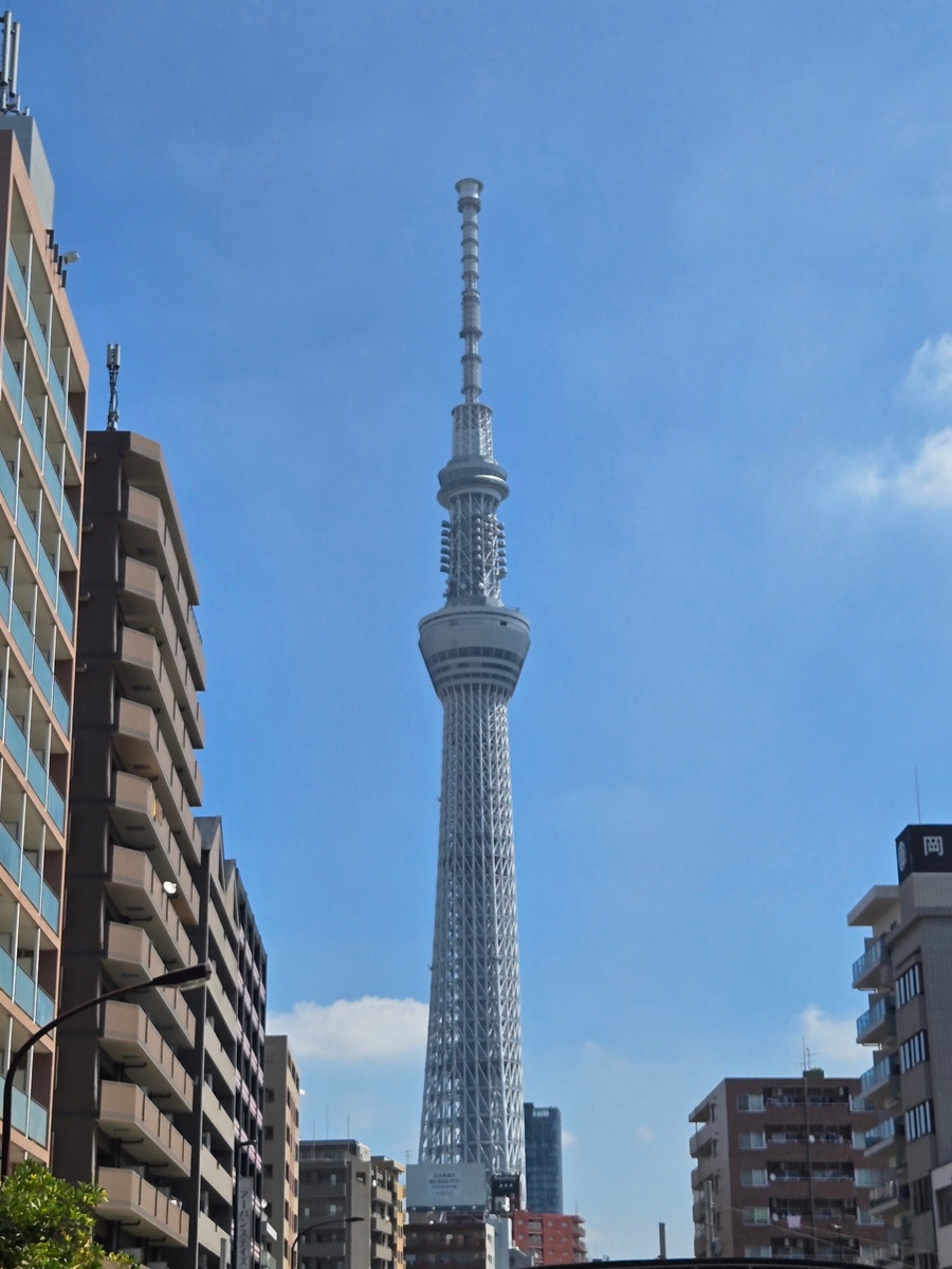 Japan & South Korea
